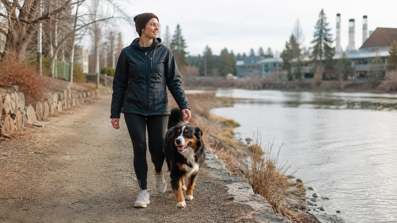 10 Reasons Dog Walkers Love the iYoShop Hands-Free Leash