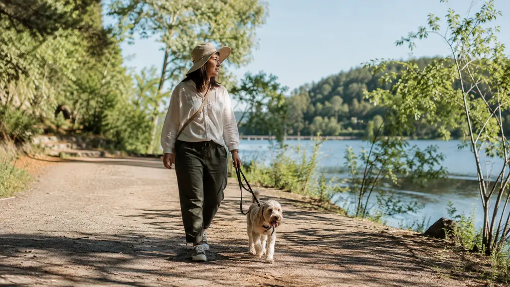 10 Reasons Walkers Love the EINSKEY Wide-Brim Sun Hat